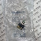 Murr Elektronik 7000-41131-0000000 Sensör/Aktüatör Kutusu - M12 Dağıtıcı
